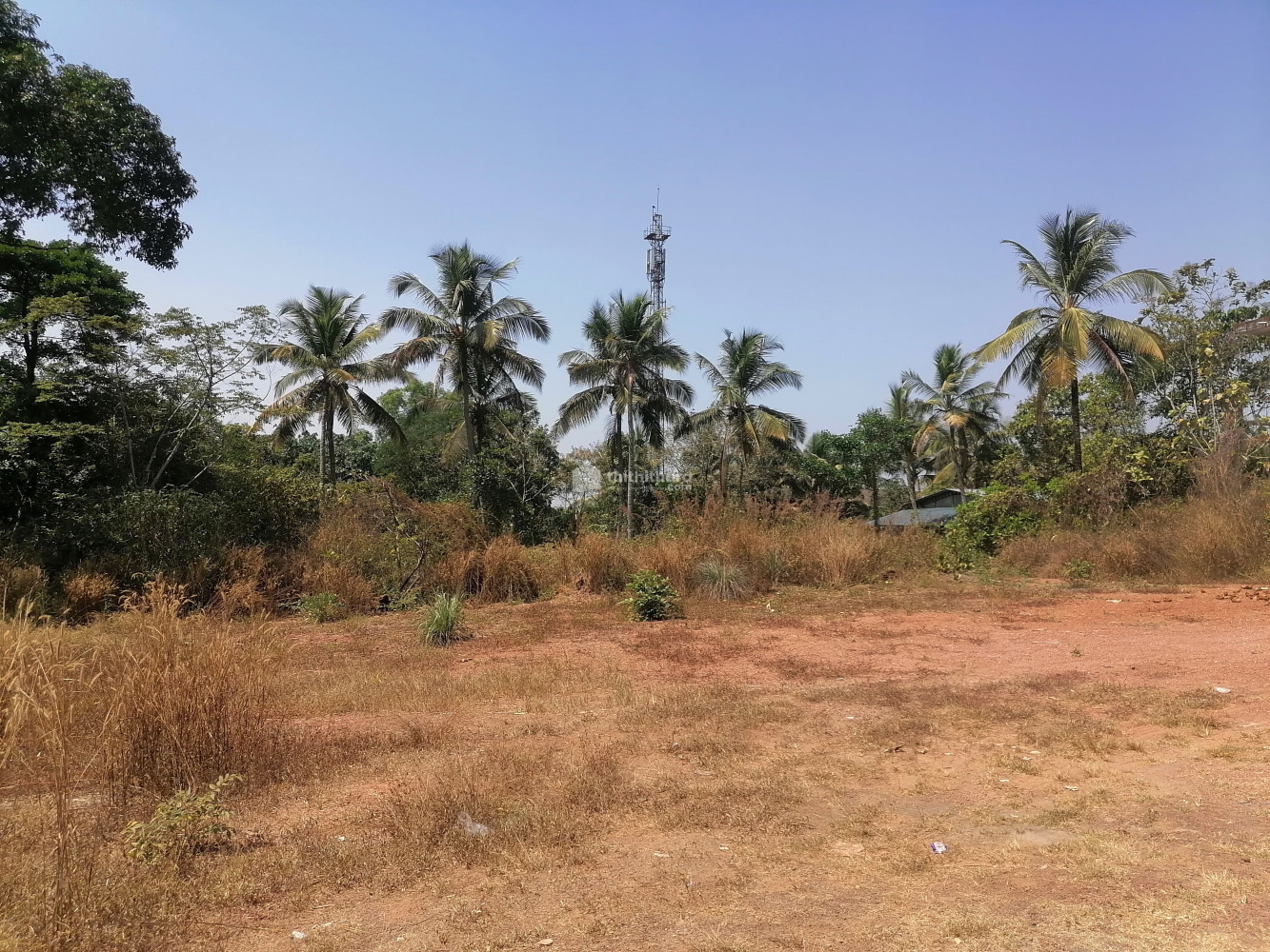 Commercial Plots For lease at Thaliparamba Kannur