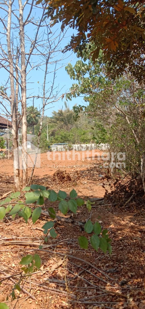 21 cent plot for sale at Vellarakkad ,Thrissur