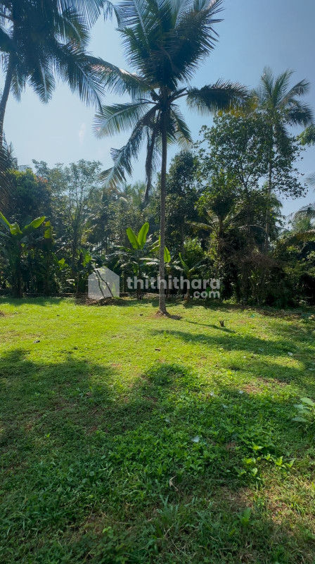 Commercial Plot for sale at Cheroopa Kozhikode