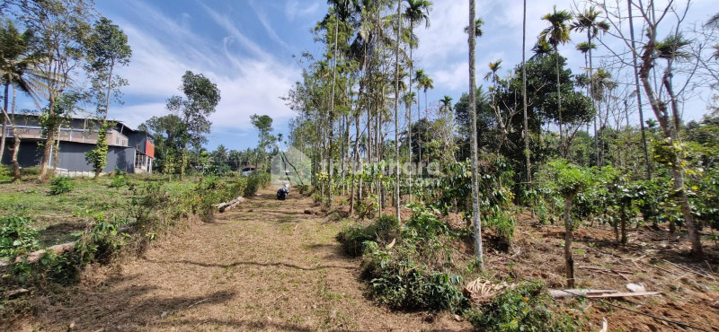 Residential Land for sale at Sulthanbathery Waynad 
