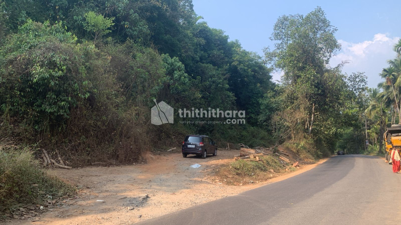 Commercial Plots available for Sale in Thiruvambady Kozhikode