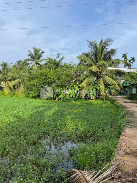 Commercial Plots available for Sale in Kondotty Malappuram