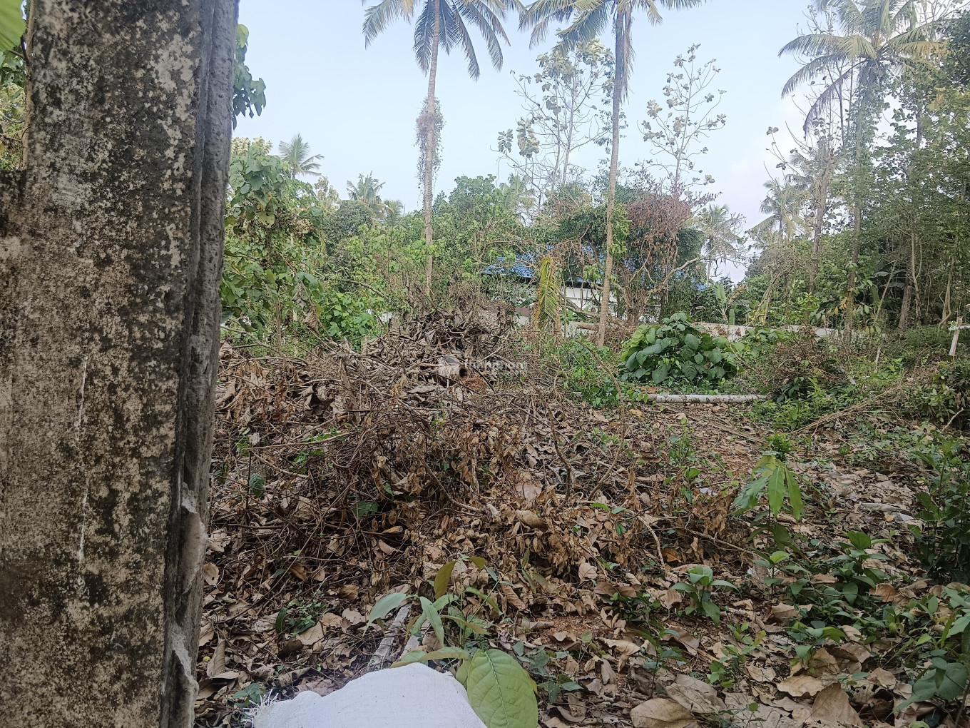 Residential Land for sale at Irinjalakuda Thrissur