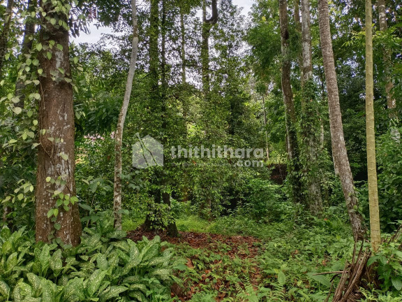 Land for sale at Muvattupuzha, Ayavana