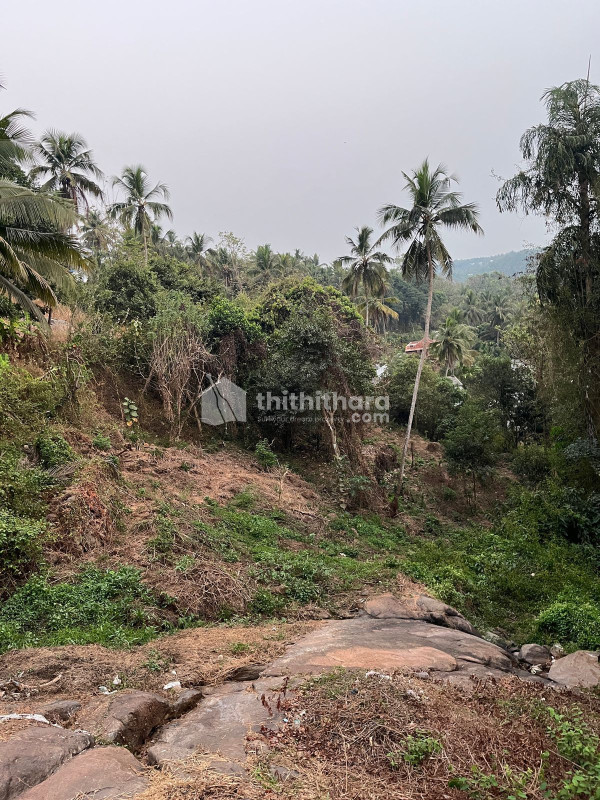 Residential Land available for Sale in Anapetti Kainode 