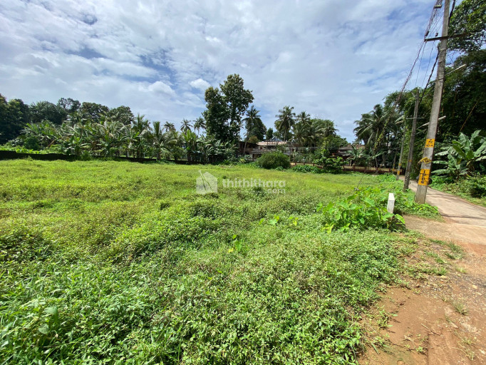 Residential Land For Sale In Pala Kottayam