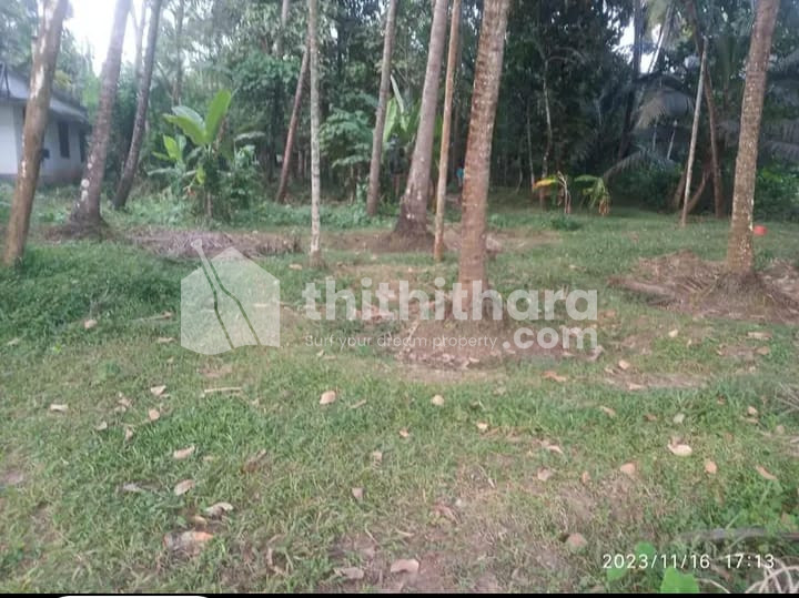 Residential Plot For Sale In Amala Nagar Thrissur