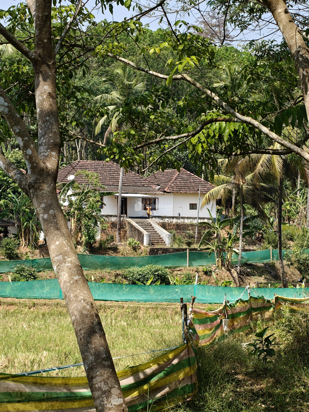 Agricultural Land for sale at Wadakkanchery Thrissur