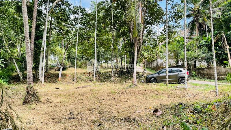 Residential Land available for Sale in Perinthalmanna Malappuram