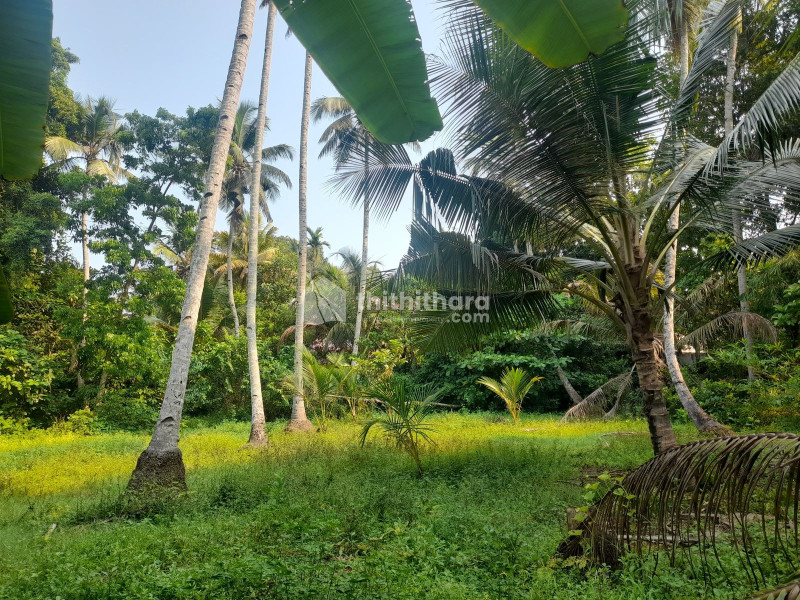 Residential Land available for Sale in Kuttanad Alappuzha