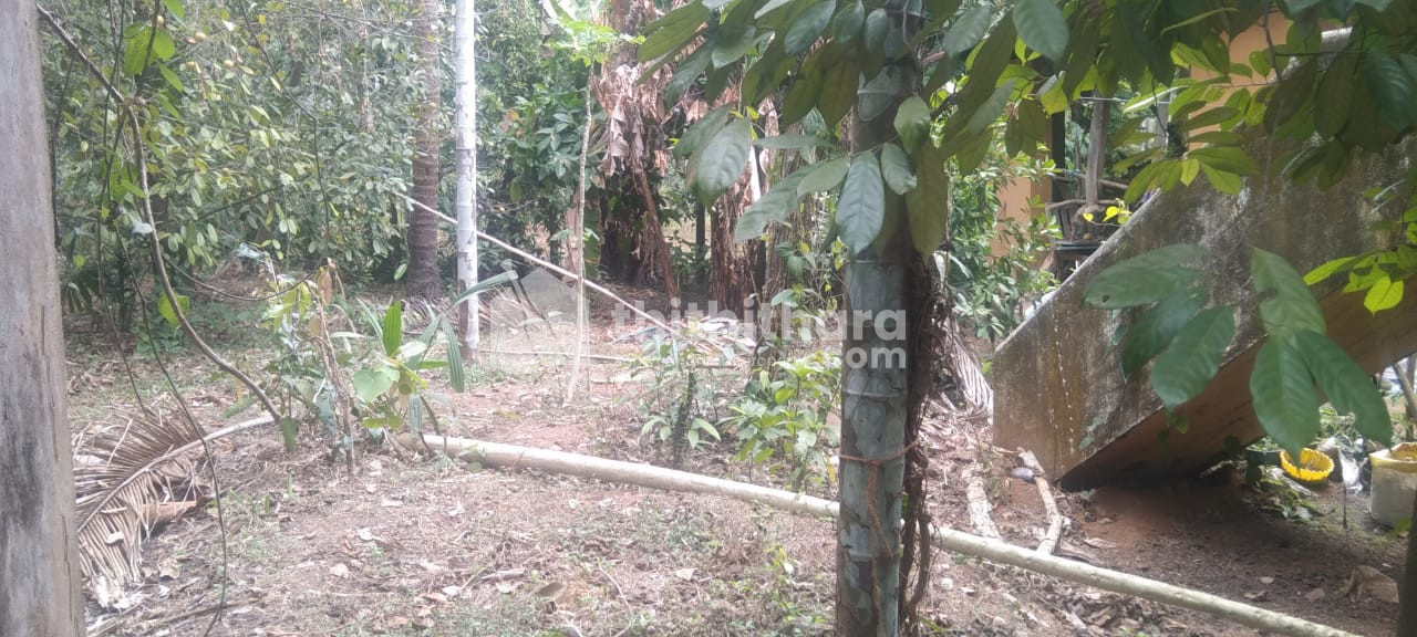 Residential land for sale at Irinjalakkuda Thrissur