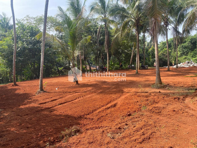 Residential plots for sale at Kovoor Kzhikode 