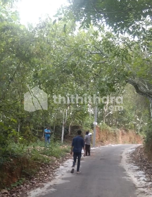 6.5 cent land for sale at Perumbavoor ,Ernakulam