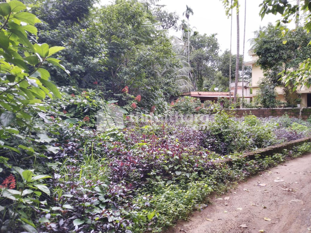 11 cents plot for sale in kanhangad, kasargod 
