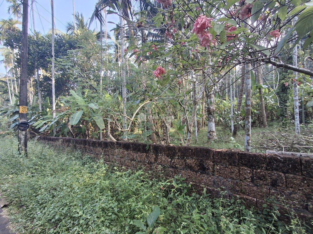 Residential land for sale at Payyannur Kannur