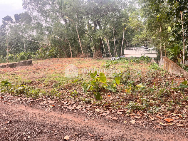 Residential Land for sale at Olippunada Thiruvananthapuram