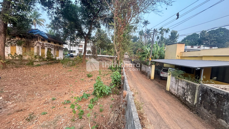 Residential Land available for Sale in Perumbavoor Ernakulam