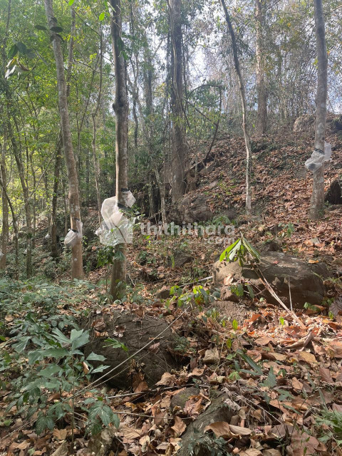 Commercial Plots available for Sale in Pala Kottayam