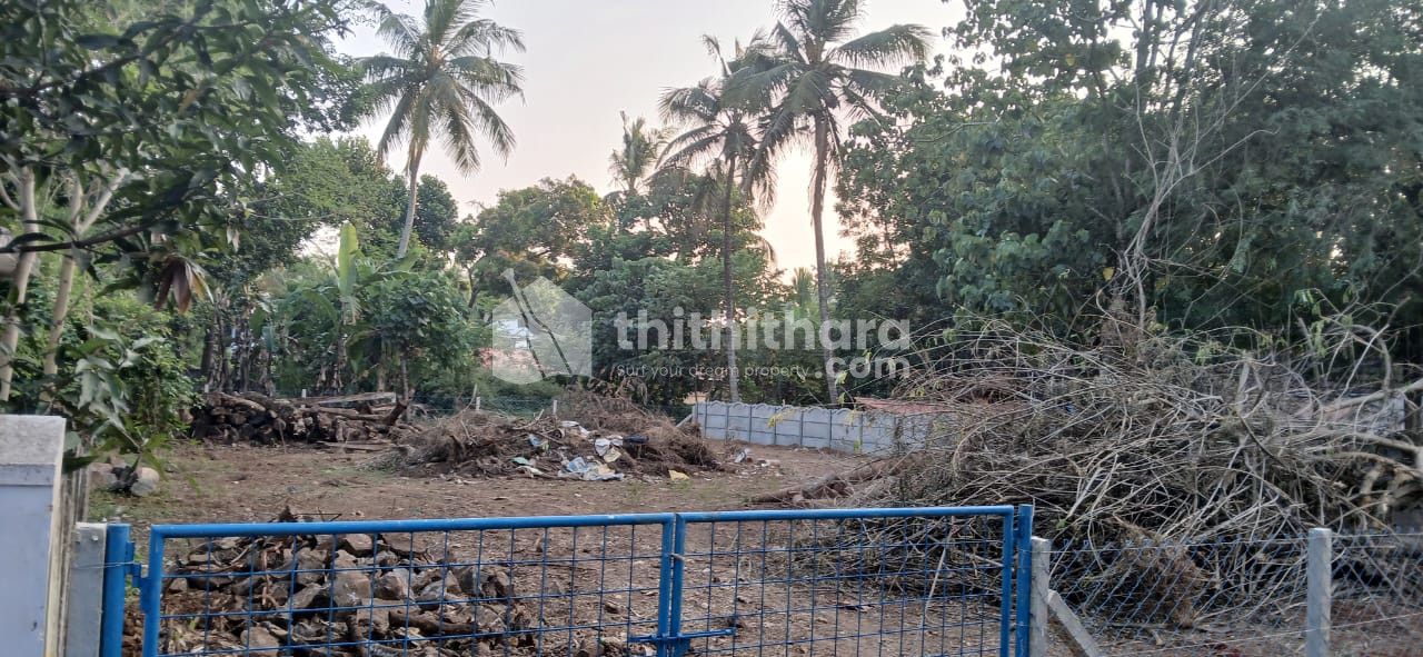 Residential Land For Sale In Kottekkad Thrissur