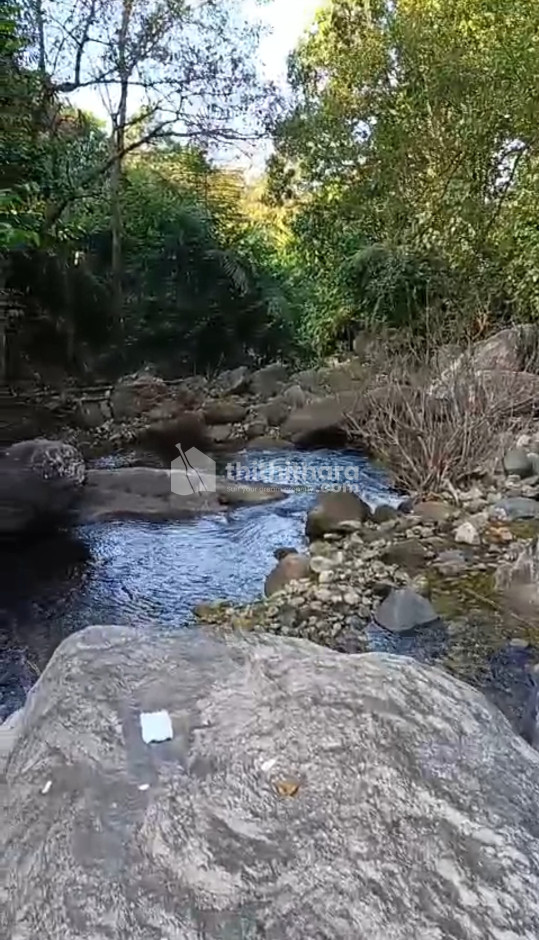 Residential Land for sale at Karuvarakundu Malappuram