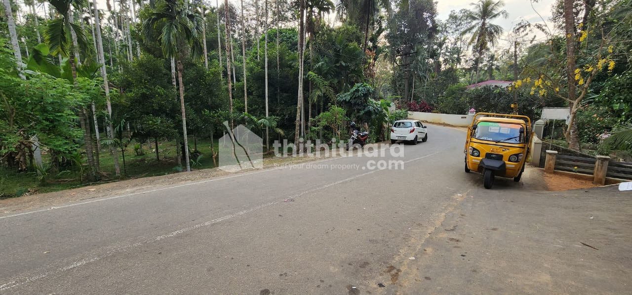 Roadside Commercial Plot for Sale – Pala, Kottayam