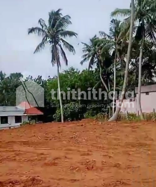 Residential Land for sale at Neyyattinkara Thiruvananthapuram