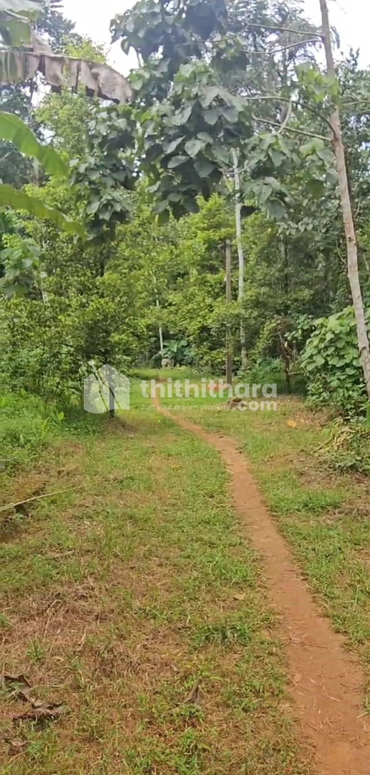 Residential Land available for Sale in Muvattupuzha Ernakulam