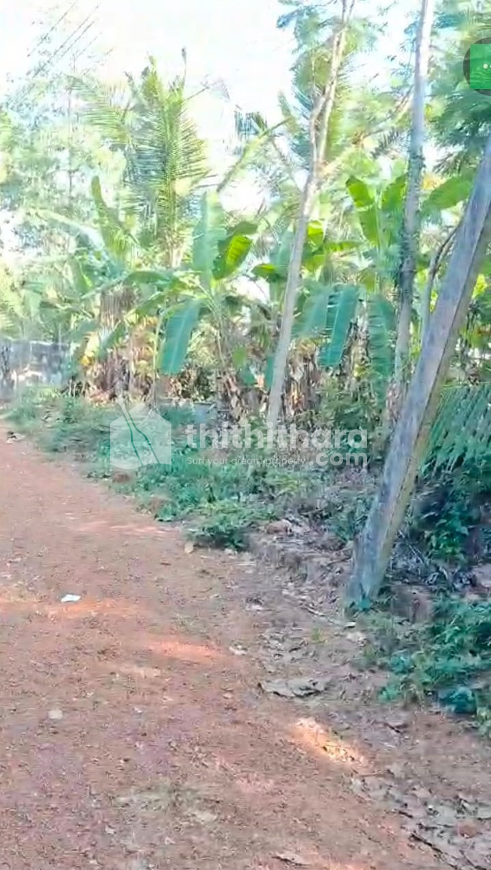 Residential Land for Sale in Melechovva Kannur