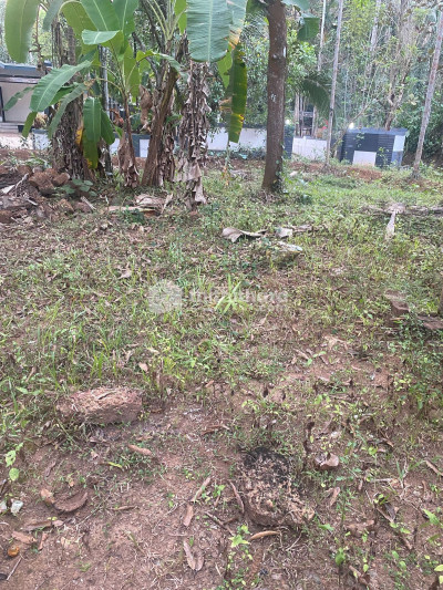Residential Land available for Sale in Balusseri Kozhikode