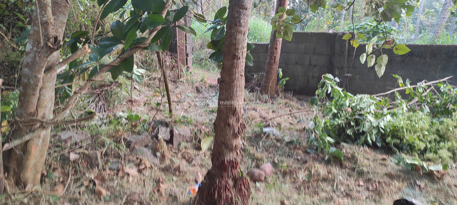 Residential Land for sale at Vellayani Thiruvananthapuram