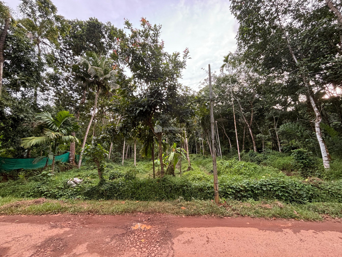 Residential Land available for Sale in  Chottanikkara Ernakulam