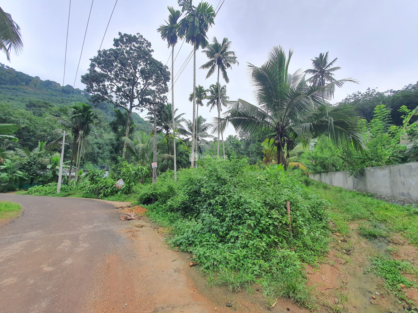 Residential Land available for Sale in Konni Pathanamthitta
