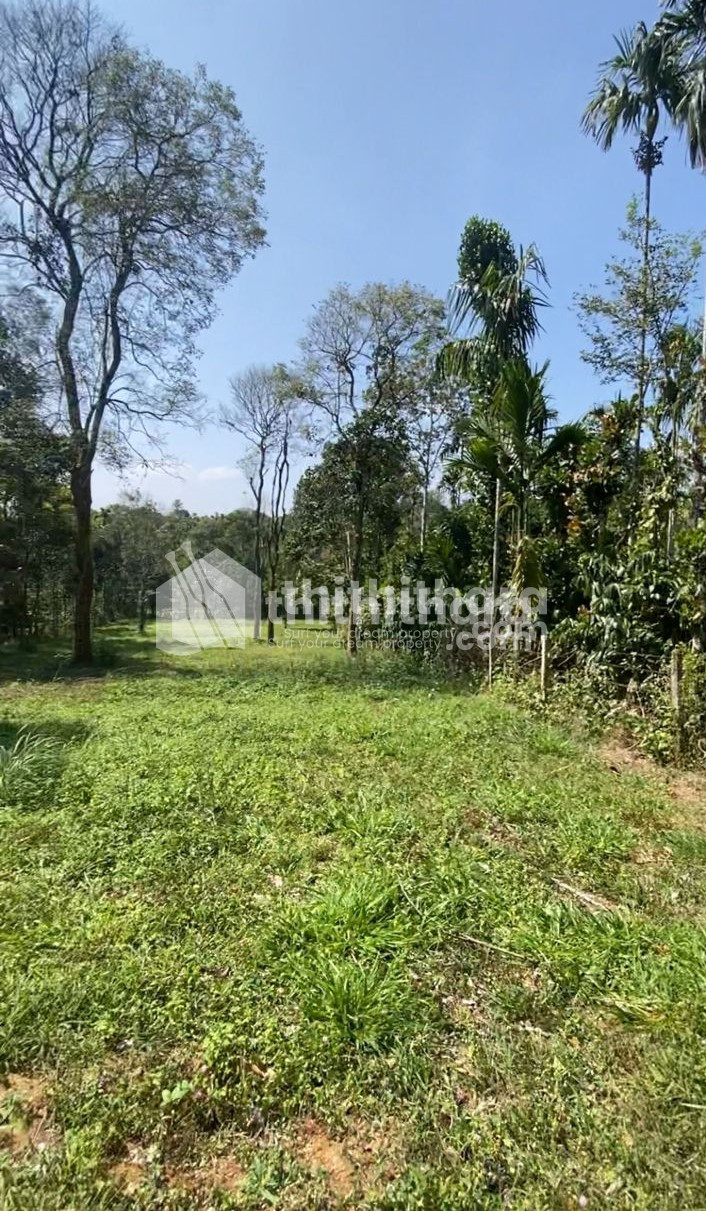 Residential Land available for Sale in Sulthanbathery Wayanad