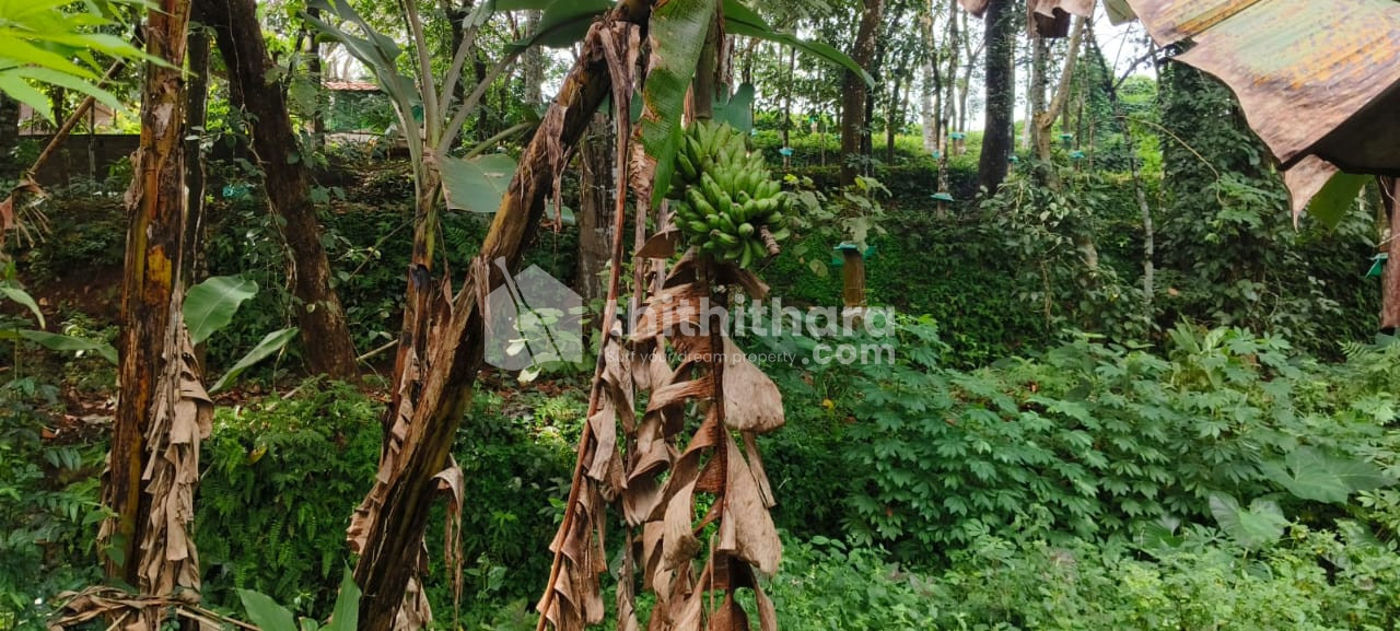 Residential Land available for Sale in Pampady Kottayam