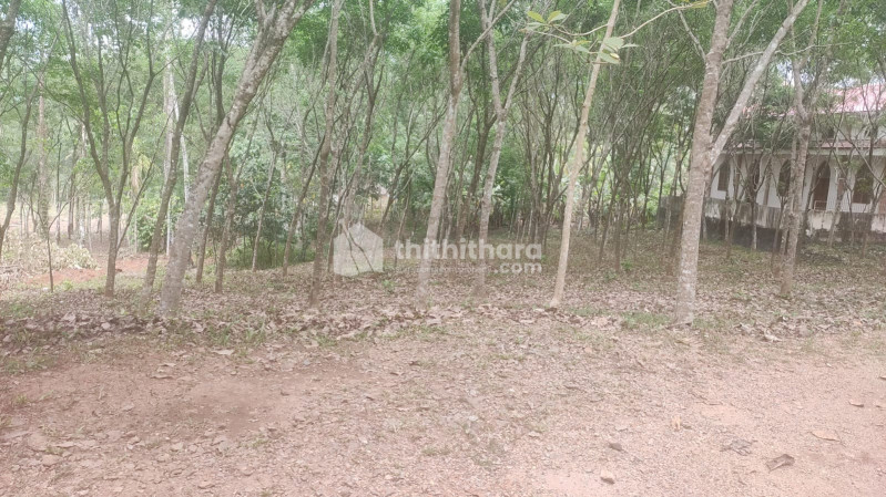 Residential Land available for Sale in Konni Pathanamthitta