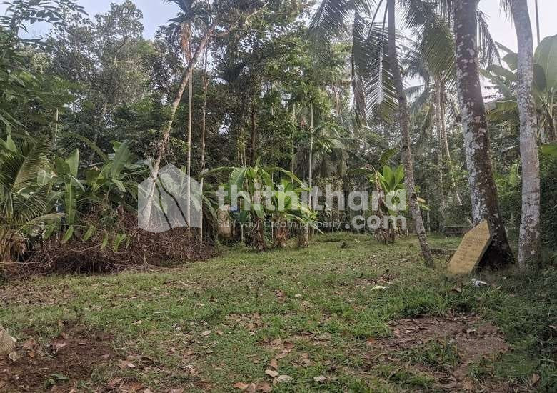 Residential Land available for Sale in Karthikappally Alappuzha
