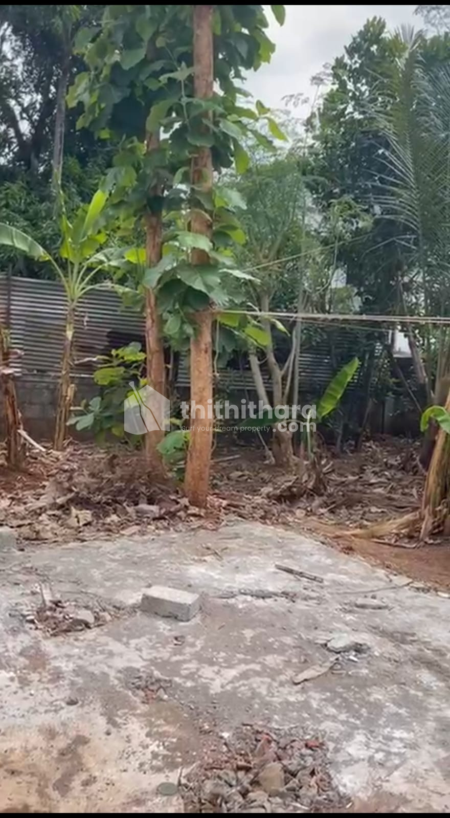  Residential plots for sale in padukkad Thrissur