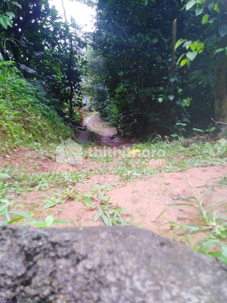 Residential Land available for Sale in Udumbanchola Idukki