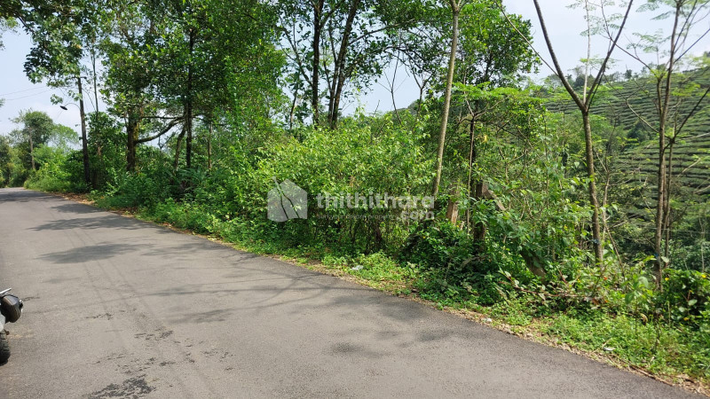 Residential Land available for Sale in Peerumade Idukki