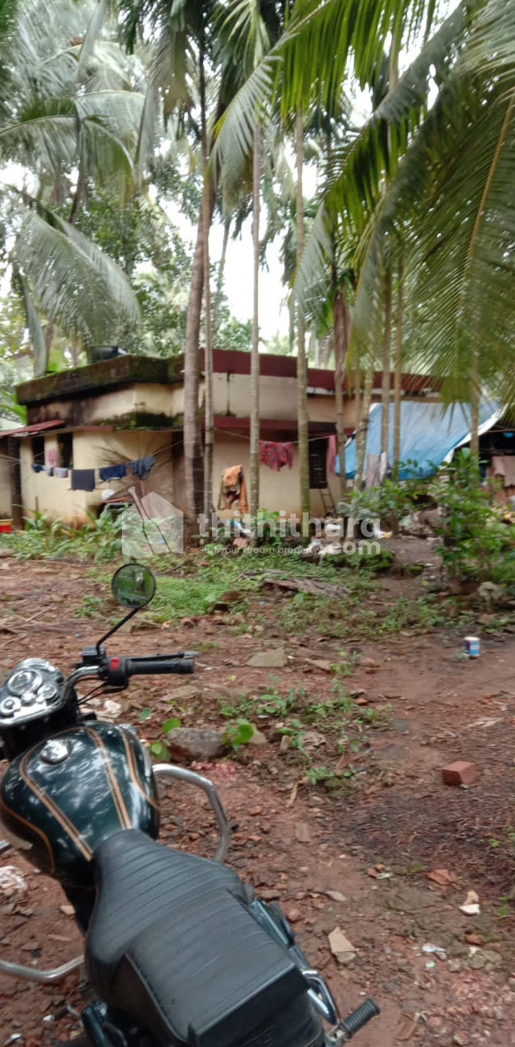 6 cent plot for sale in Kozhikode Thondayad 