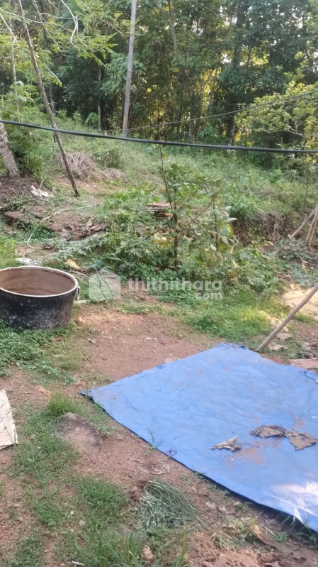 Residential Land available for Sale in Kakkanad Ernakulam