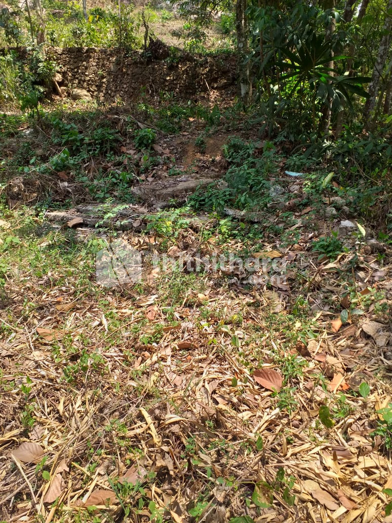 Residential Land available for Sale in Omalloor Pathanamthitta
