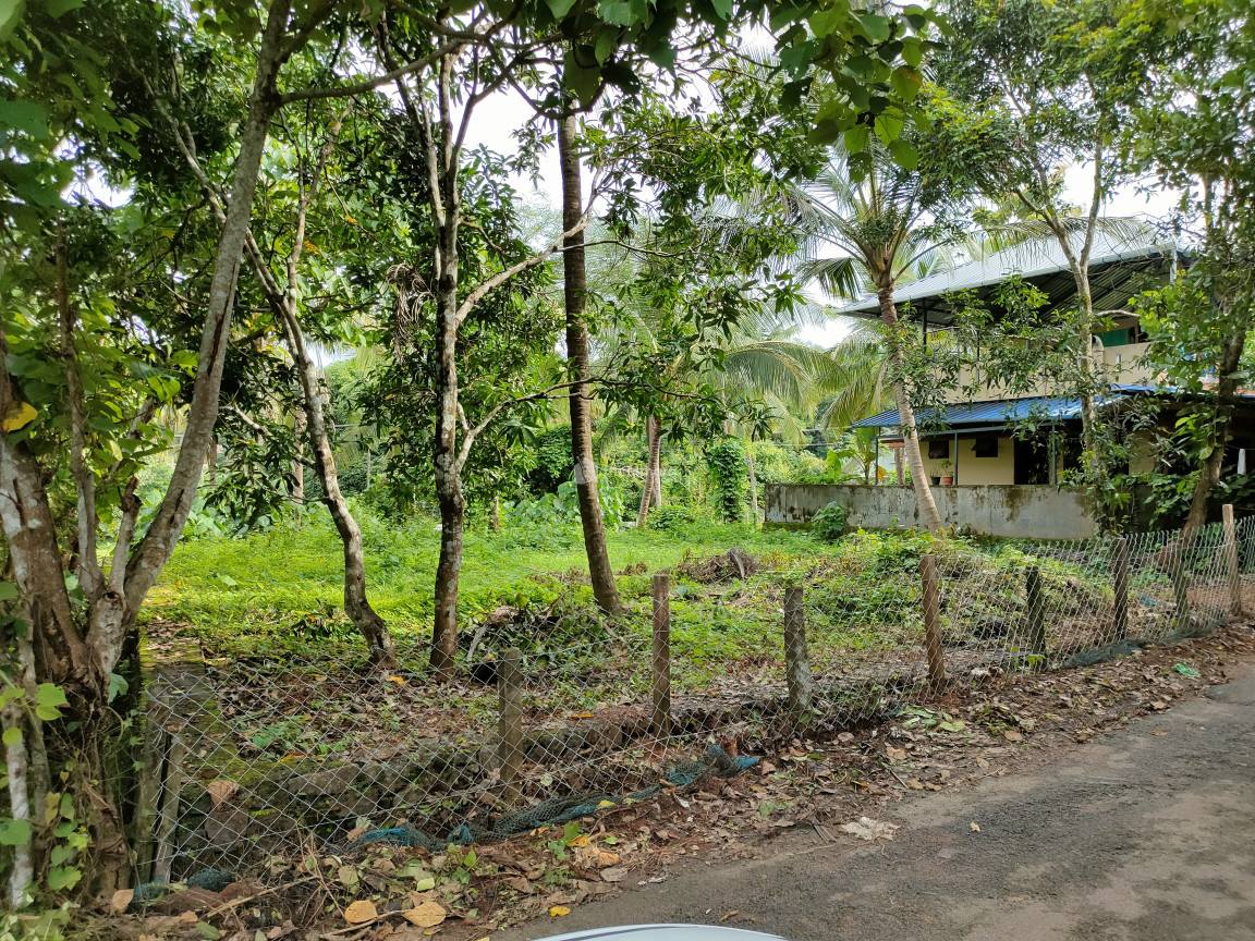 Residential Land for sale at Ottappalam Palakkad