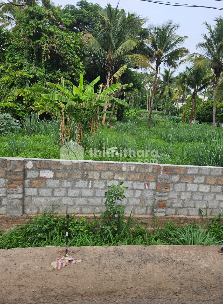Residential land For sale in Marathakkara Thrissur
