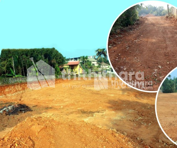 COMMERCIAL PLOT IN PATTAMBI PALAKKAD
