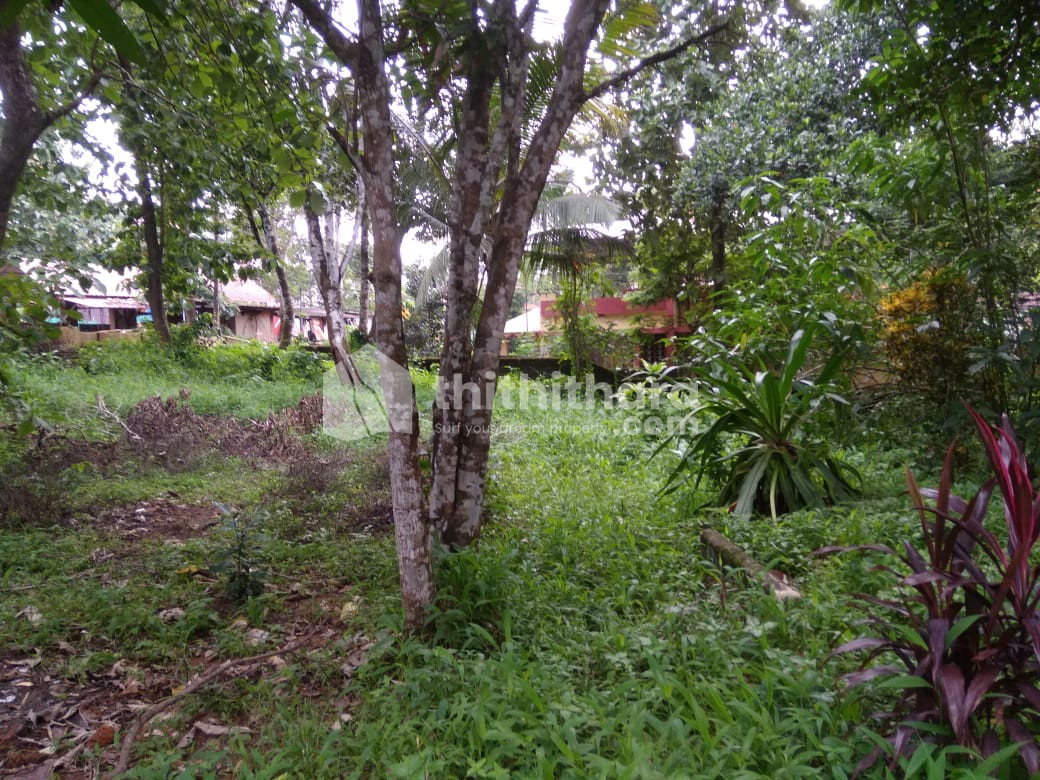 Residential Land for sale at Thiruvalla Pathanmathitta