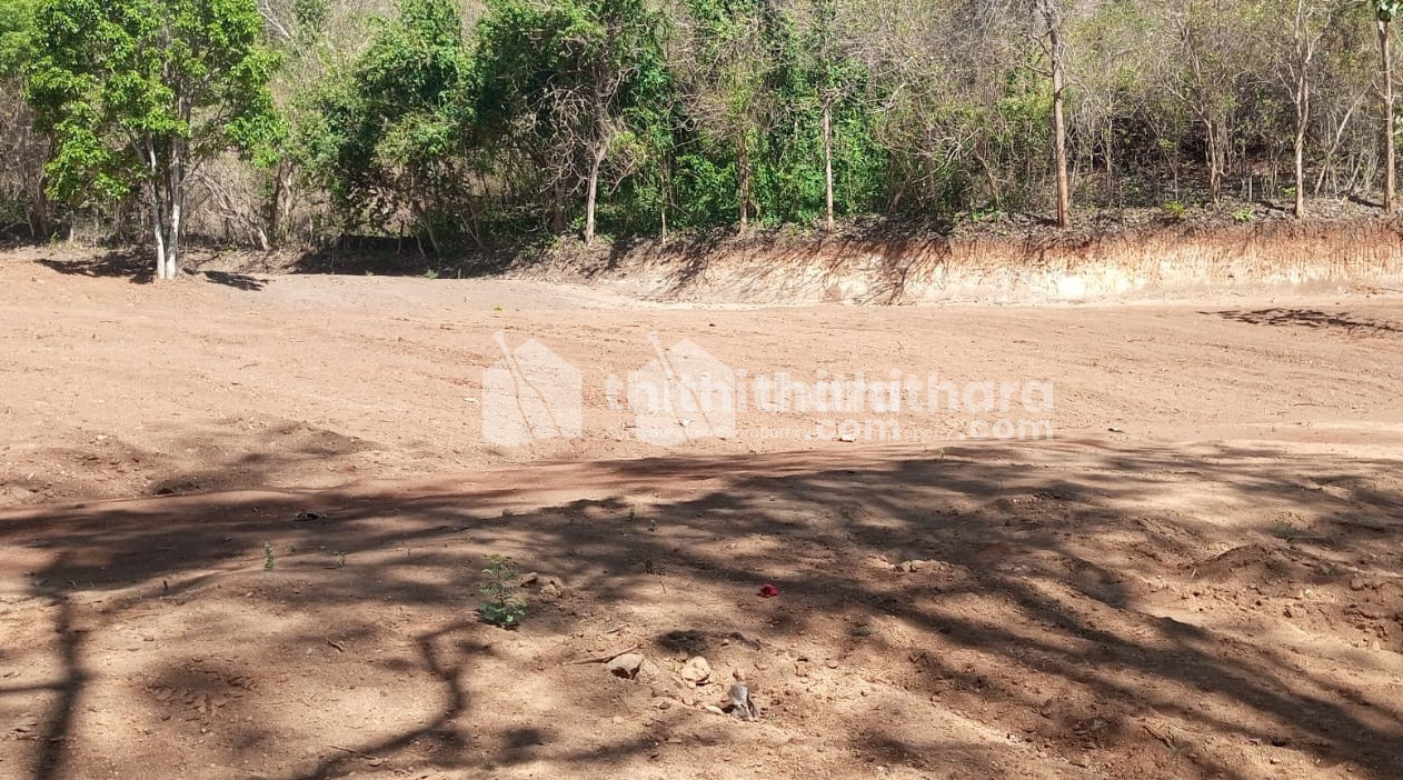 Residential Land for sale at Pattikadu Thrissur