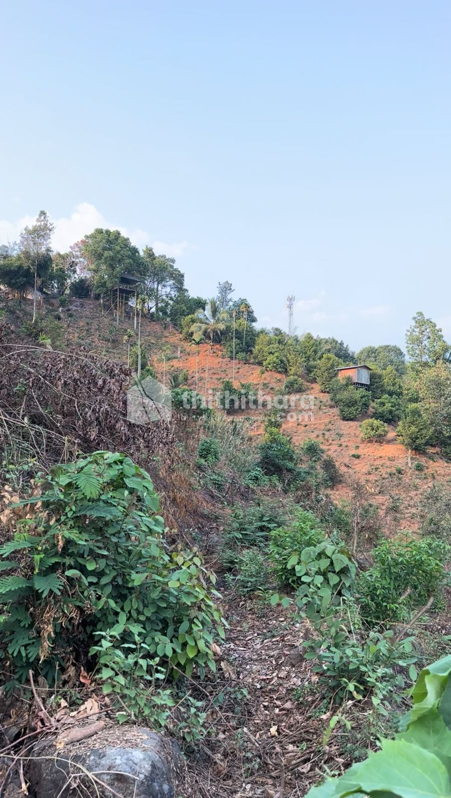 Commercial Plots available for Sale in Kakkadampoyil Kozhikode