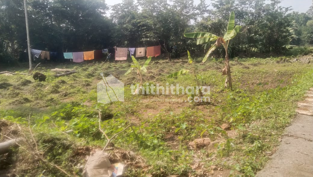 Residential Land available for Sale in Maramveedu, Vaikom, Kottayam