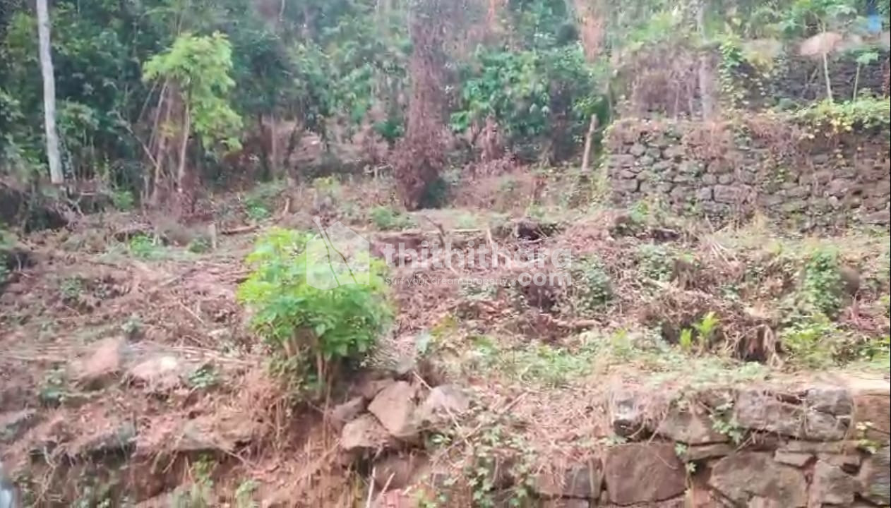 Residential Others available for Sale in Thiruvalla Pathanamthitta